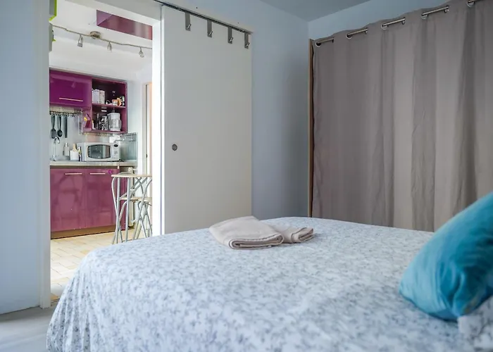 公寓 Petit 20m2 - 2-4 Personnes - Quartier Bel Air 莱萨布勒-多洛讷